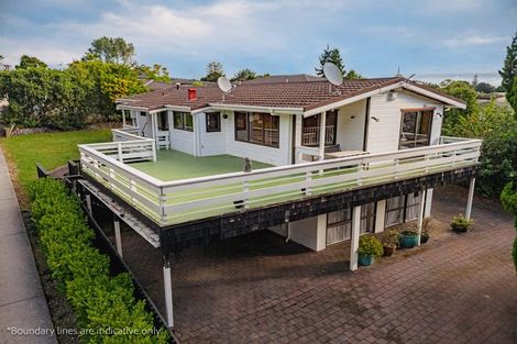 Photo of property in 25 Derrimore Heights, Clover Park, Auckland, 2019