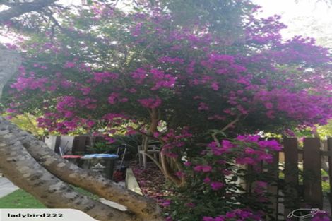 Photo of property in 38a Atkin Avenue, Mission Bay, Auckland, 1071