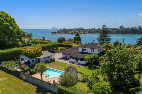 Photo of property in 285 Plummers Point Road, Whakamarama, Tauranga, 3172
