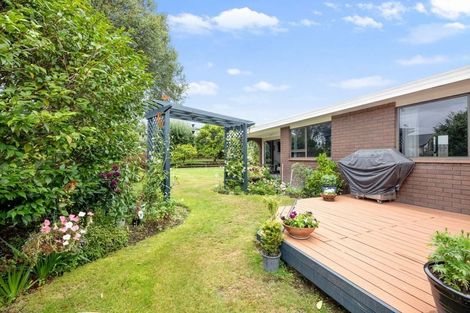 Photo of property in 5 Regent Place, Witherlea, Blenheim, 7201