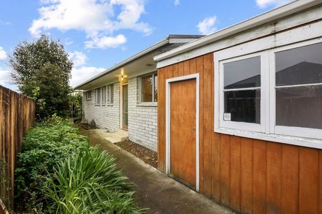 Photo of property in 347b Peachgrove Road, Fairfield, Hamilton, 3214