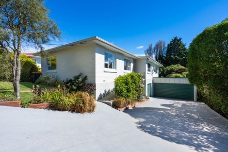Photo of property in 37 Duckworth Street, Andersons Bay, Dunedin, 9013