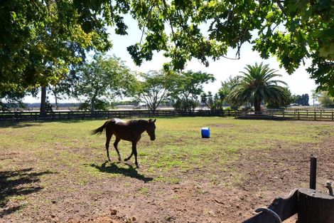 Photo of property in 182a Holland Road, Puketaha, Hamilton, 3286