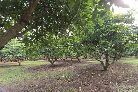 Photo of property in 244 Beach Road, Katikati, 3178