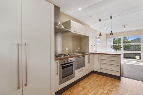 Photo of property in 3/30 George Street, Richmond, 7020