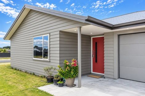 Photo of property in 33 Belgrove Drive, Waipukurau, 4200