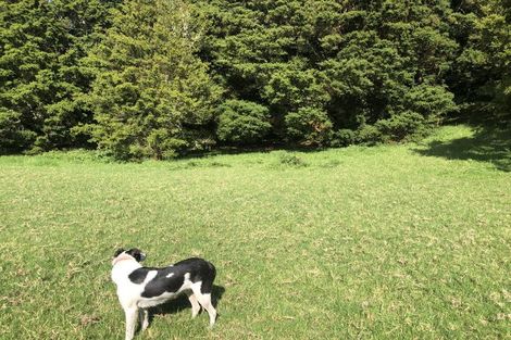 Photo of property in 504b Wairere Road, Maungaturoto, 0571