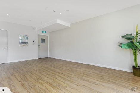 Photo of property in 46 Wellington Street, Nelson South, Nelson, 7010