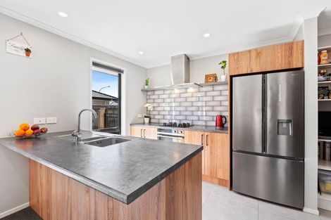 Photo of property in 63 Magnolia Drive, Westown, New Plymouth, 4310