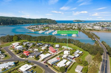 Photo of property in 111 Moana Anu Anu Avenue, Whangamata, 3620