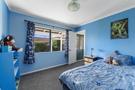 Photo of property in 160 Boucher Avenue, Te Puke, 3119