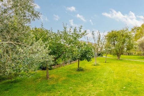 Photo of property in 219a Porangahau Road, Waipukurau, 4200