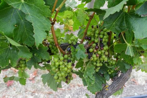 Photo of property in 3760 State Highway 50, Maraekakaho, 4171