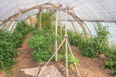 Photo of property in 1036 Taupo Bay Road, Taupo Bay, Mangonui, 0494