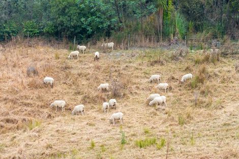 Photo of property in 592 Kanohi Road, Kaukapakapa, 0873