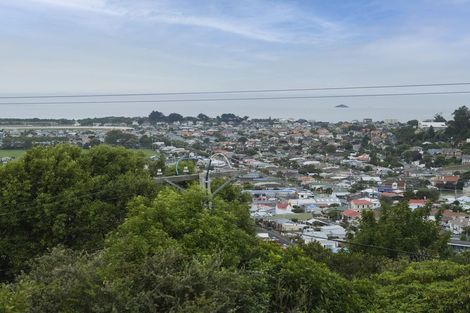 Photo of property in 53 Forfar Street, Clyde Hill, Dunedin, 9011