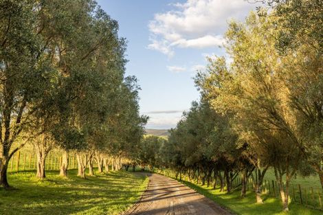 Photo of property in 660 Omarunui Road, Puketapu, Napier, 4183