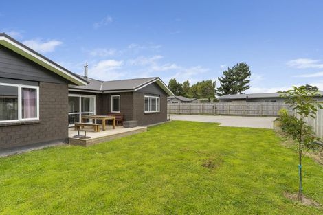 Photo of property in 3 Dow Chung Place, Otaki, 5512