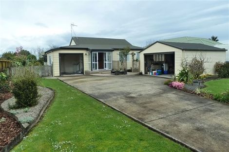 Photo of property in 2 Harris Place, Ngatea, 3503