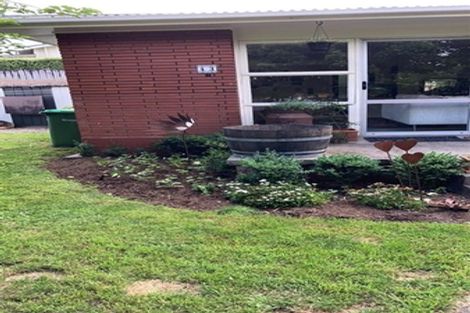 Photo of property in 43b Sillary Street, Hamilton East, Hamilton, 3216