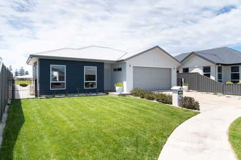 Photo of property in 12 Ruakituri Place, Te Awa, Napier, 4110