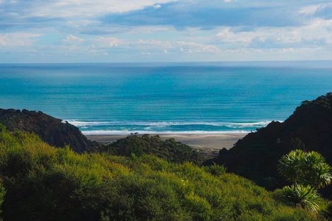 Photo of property in 134 Lone Kauri Road, Karekare, New Lynn, 0772