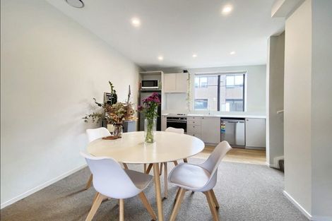 Photo of property in Aniva Terrace, 14 Ferguson Street, Newtown, Wellington, 6021