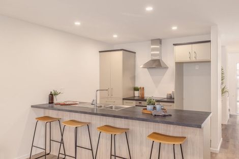 Photo of property in 25b Champion Street, Edgeware, Christchurch, 8013