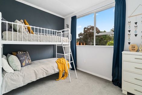 Photo of property in 18 Antimony Crescent, Cromwell, 9310