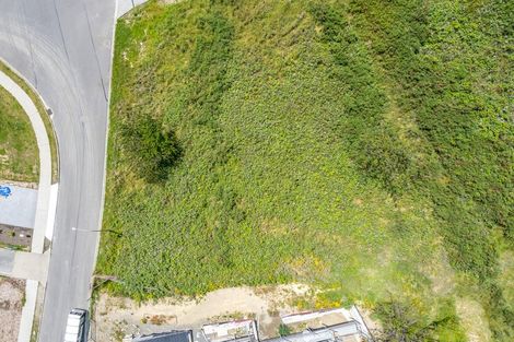 Photo of property in 81 Kotare Street, Waikanae, 5036