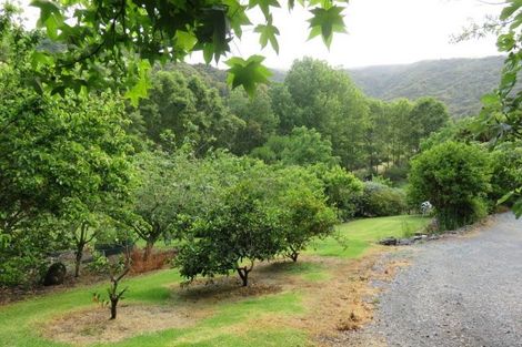 Photo of property in 950 Matakana Valley Road, Whangaripo, Wellsford, 0972