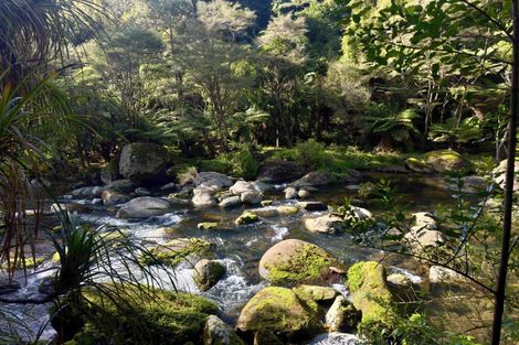 Photo of property in 717 Wright Road, Aongatete, 3181