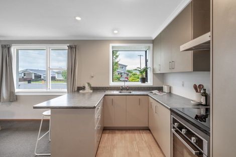 Photo of property in 119 Robertson Street, Gore, 9710