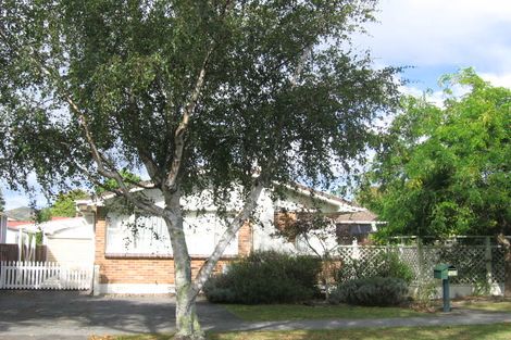 Photo of property in 17 Mcleod Street, Elderslea, Upper Hutt, 5018