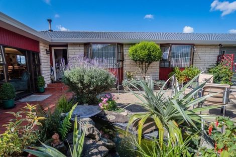 Photo of property in 80 Denmark Street, Temuka, 7920