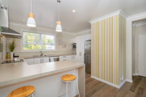 Photo of property in 210 Scott Street, Redwoodtown, Blenheim, 7201