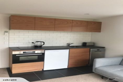 Photo of property in 116 Darlington Road, Miramar, Wellington, 6022