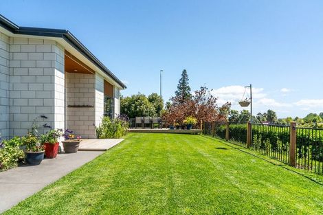 Photo of property in 161 Margaret Drive, Omokoroa, 3114