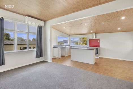 Photo of property in 20 Kilgour Street, Roslyn, Dunedin, 9010