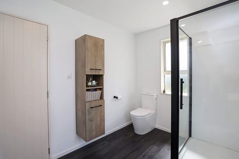 Photo of property in 31 Suffolk Street, Hampstead, Ashburton, 7700