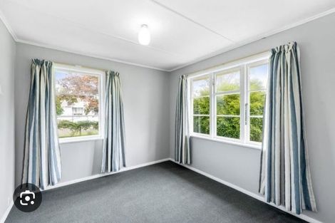 Photo of property in 55 Power Street, Levin, 5510