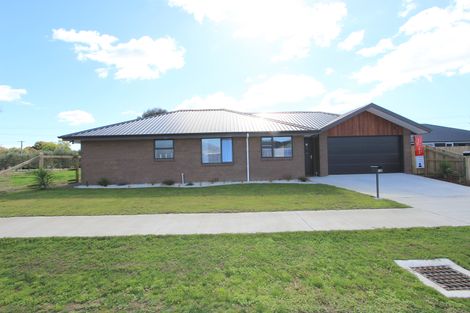 Photo of property in 18 Harvard Road, Burleigh, Blenheim, 7201
