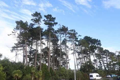 Photo of property in 45 Helleur Road, Massey, Auckland, 0614