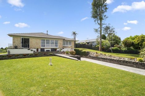 Photo of property in 3 View Street, Putaruru, 3411