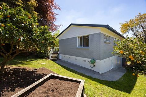 Photo of property in 189 Turere Lane, Te Awamutu, 3800