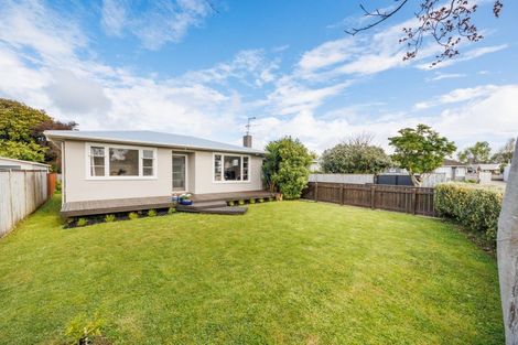 Photo of property in 19 Salisbury Avenue, Terrace End, Palmerston North, 4410