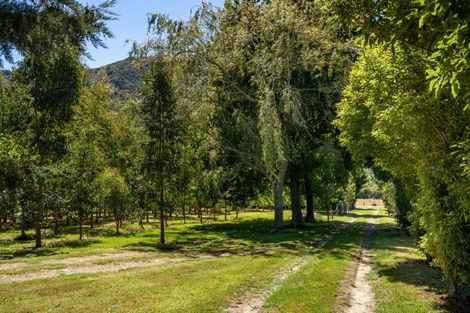 Photo of property in 1406 Queen Charlotte Drive, Linkwater, Picton, 7281