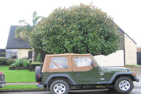 Photo of property in 11 Oleander Point, Farm Cove, Auckland, 2012