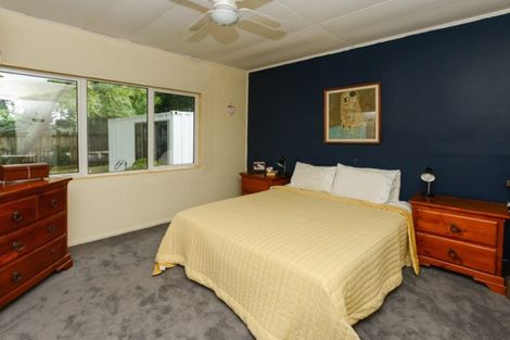 Photo of property in 251 Havelock Road, Akina, Hastings, 4122