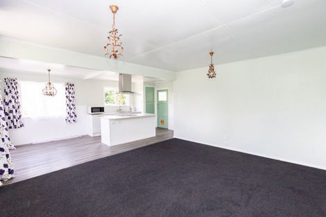 Photo of property in 21 Hayward Road, Ngatea, 3503
